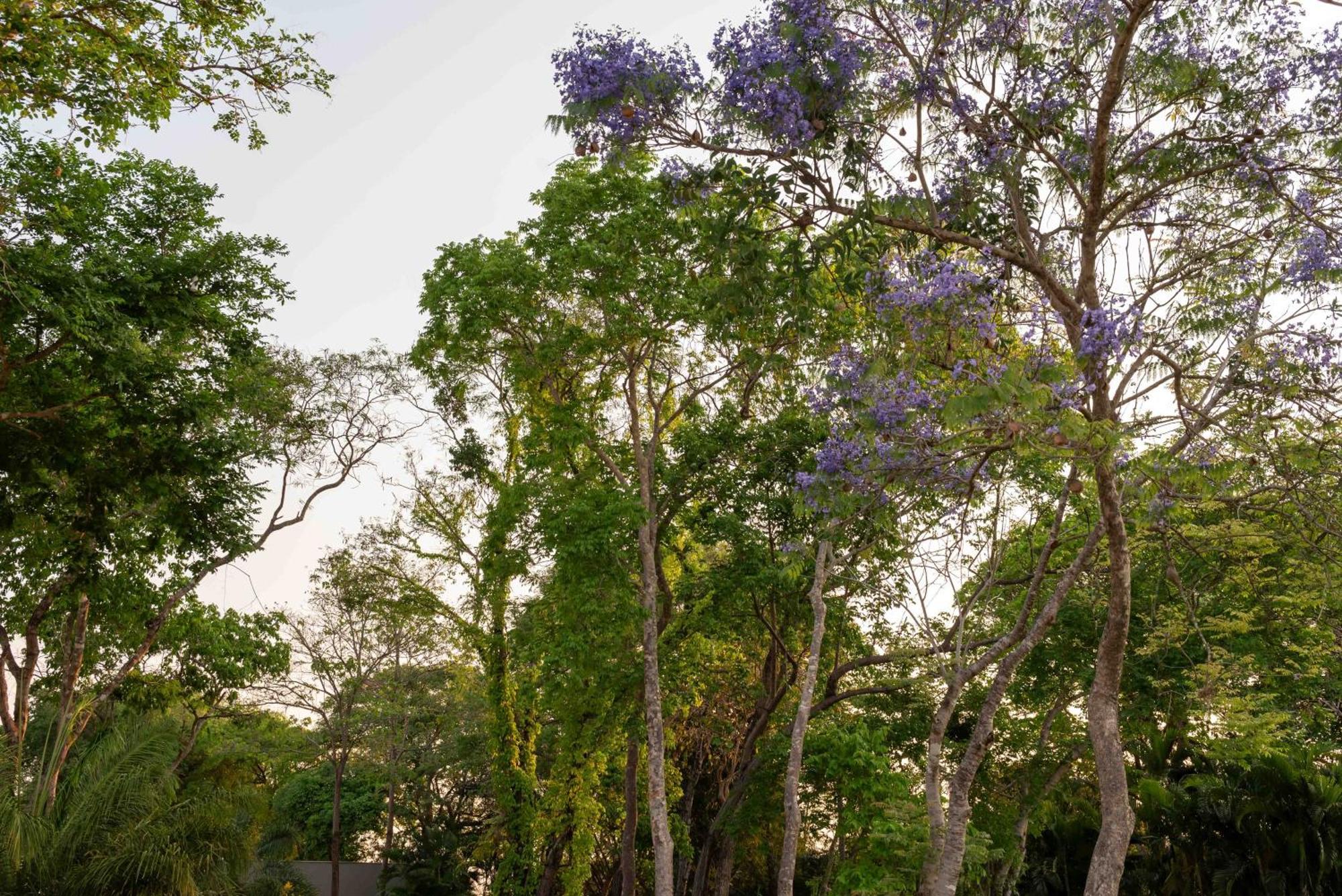 Spa Agua Milagrosa Cuiaba  Exterior photo